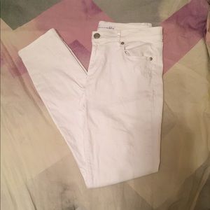 Loft Modern Skinny Jeans